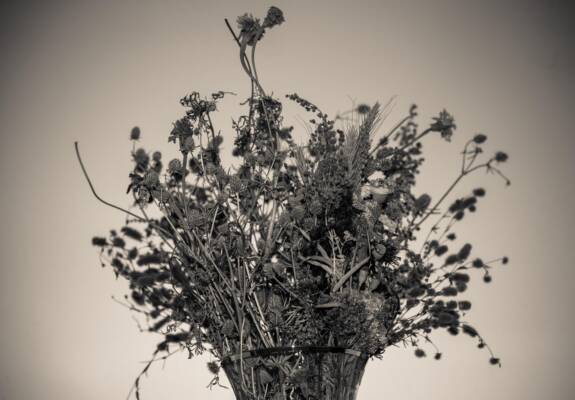 bouquet, flower wallpaper, flowers, leaves, plants, branches, nature, dry, flower background, vintage, dead, beautiful flowers, season, landscape, decoration
