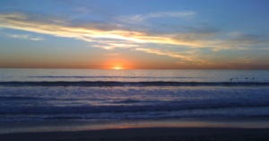 4 Things Every Husband Needs to Hear Daily - Fierce Marriage