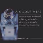A godly wife is a treasure to cherish, a beauty to admire, & a gift to spend a lifetime unwrapping.