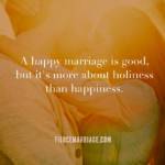 A happy marriage is good, but it's more about holiness than happiness.
