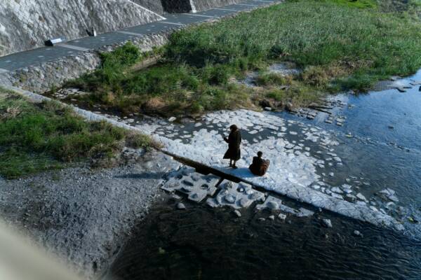 A couple of birds standing on top of a river