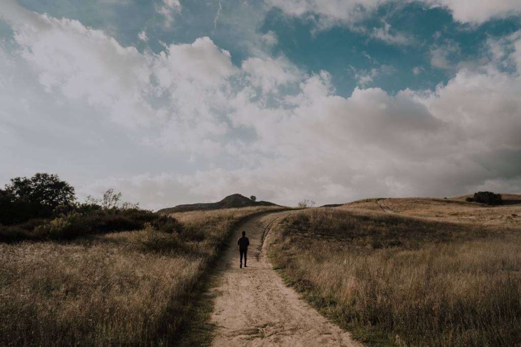 person walking on road between grasses